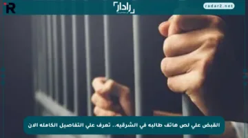 القبض على لص هاتف طالبة في الشرقية.. تعرف على التفاصيل الكاملة الآن